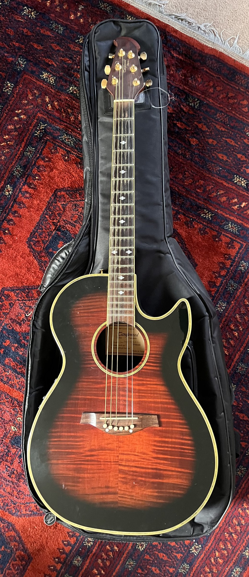 Tanglewood Odyssey electro-acoustic in its gig bag as it arrived